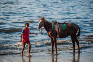 Bathing-The-Horse